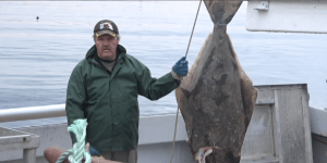 Heilbuttanlandung Port aux Basques